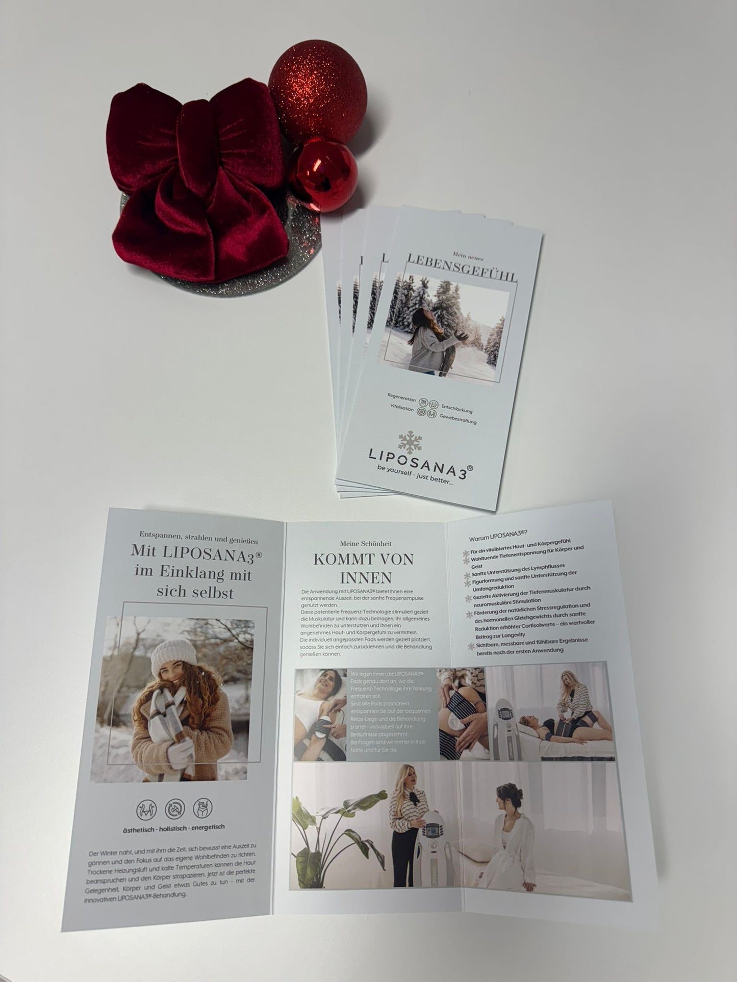 WINTERFLYER – Premium Qualität